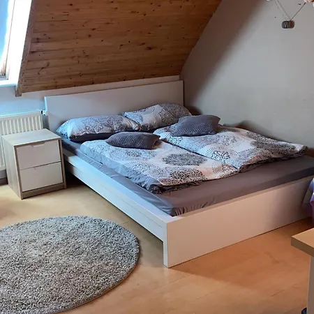 民宿 Zentral Im Gruenen 多特蒙德