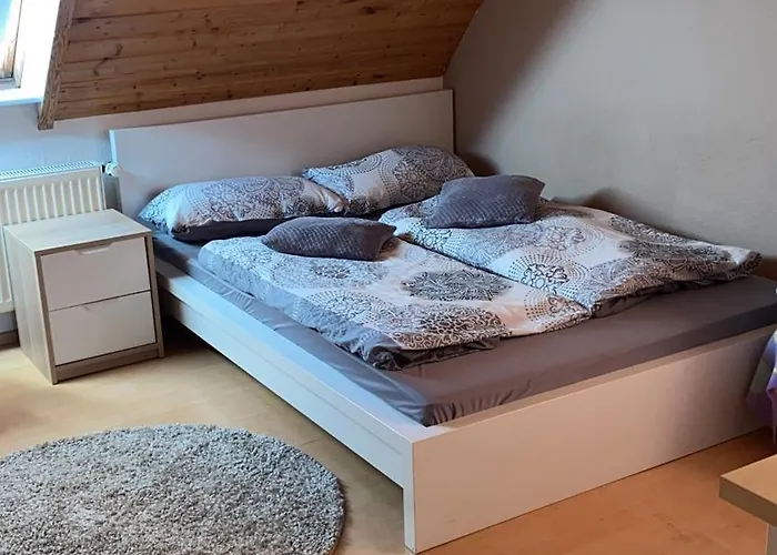 民宿 Zentral Im Gruenen 多特蒙德